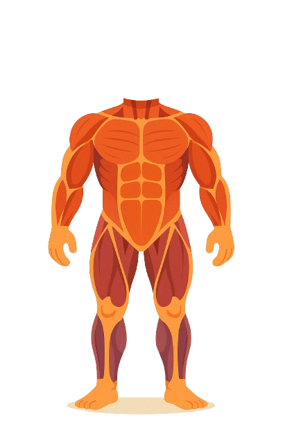 Workout.io project preview